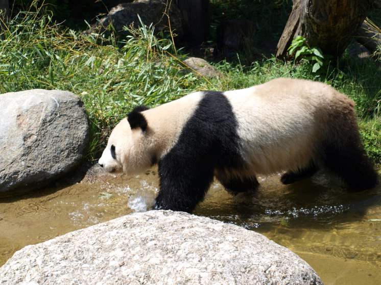 Tiergarten Schönbrunn